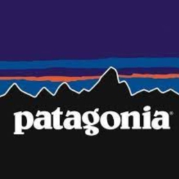 Patagonia Logo - Best Company Vision Statement Examples