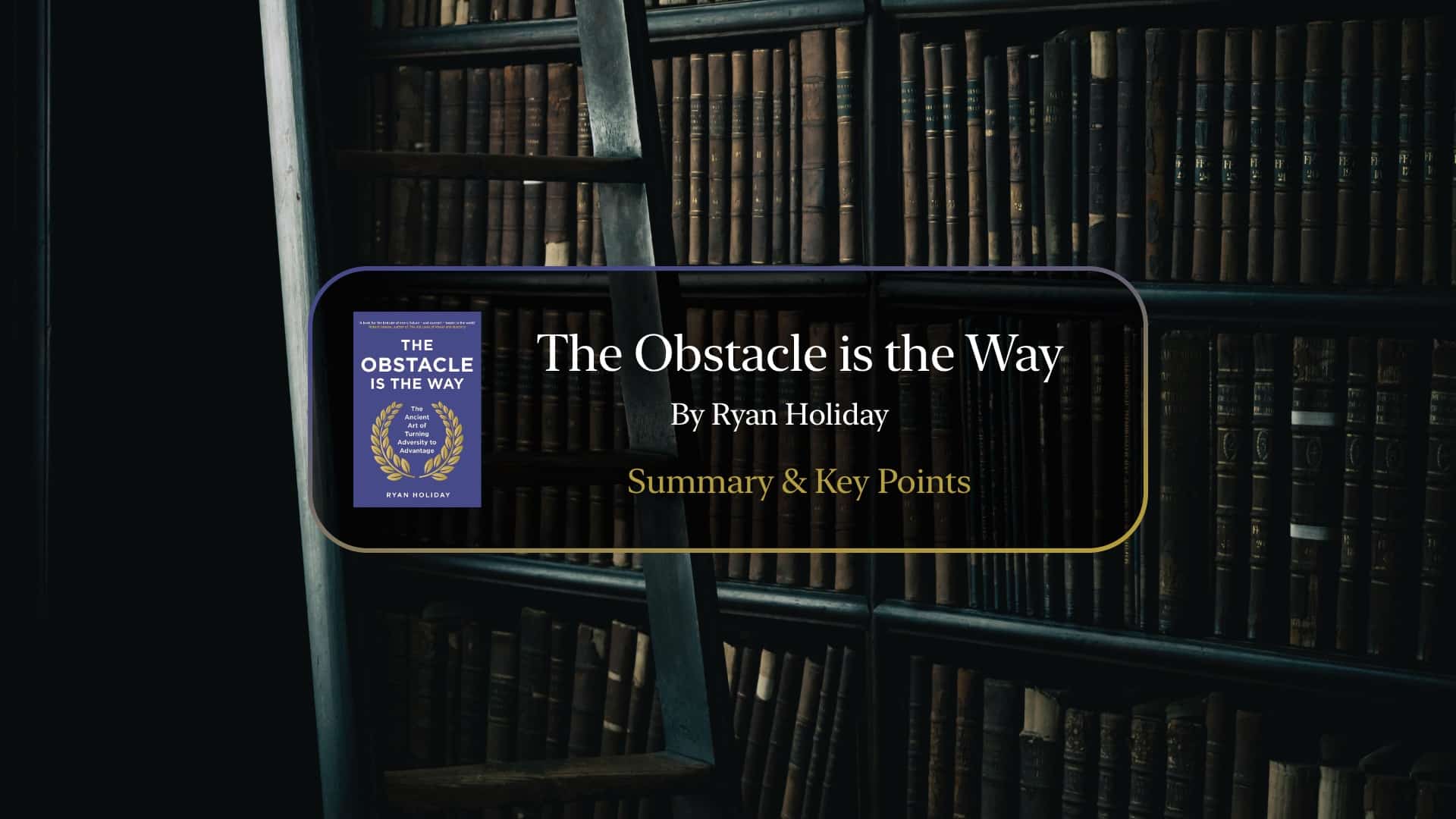 The Obstacle is the Way [Book Summary] by Ryan Holiday