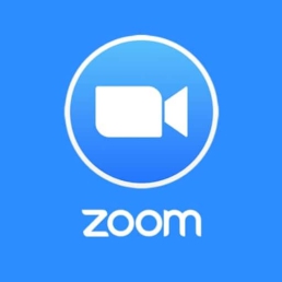 Zoom Logo - Best Company Vision Statement Examples