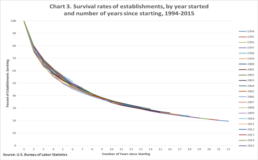 Business Survival Rate Over Time